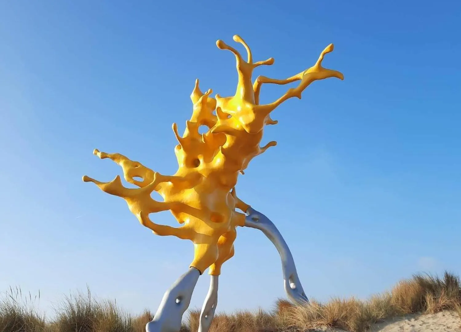An'S Seaview Middelkerke Lägenhet Belgien