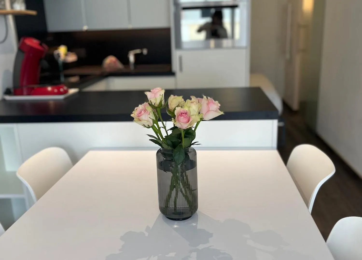 An'S Seaview Middelkerke Lägenhet 0*,
